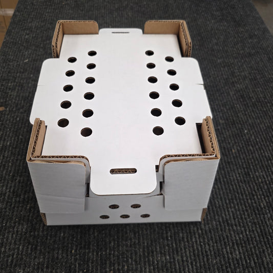 Chick Shipping Box | 25-Pack | 12" x 10" x 8"