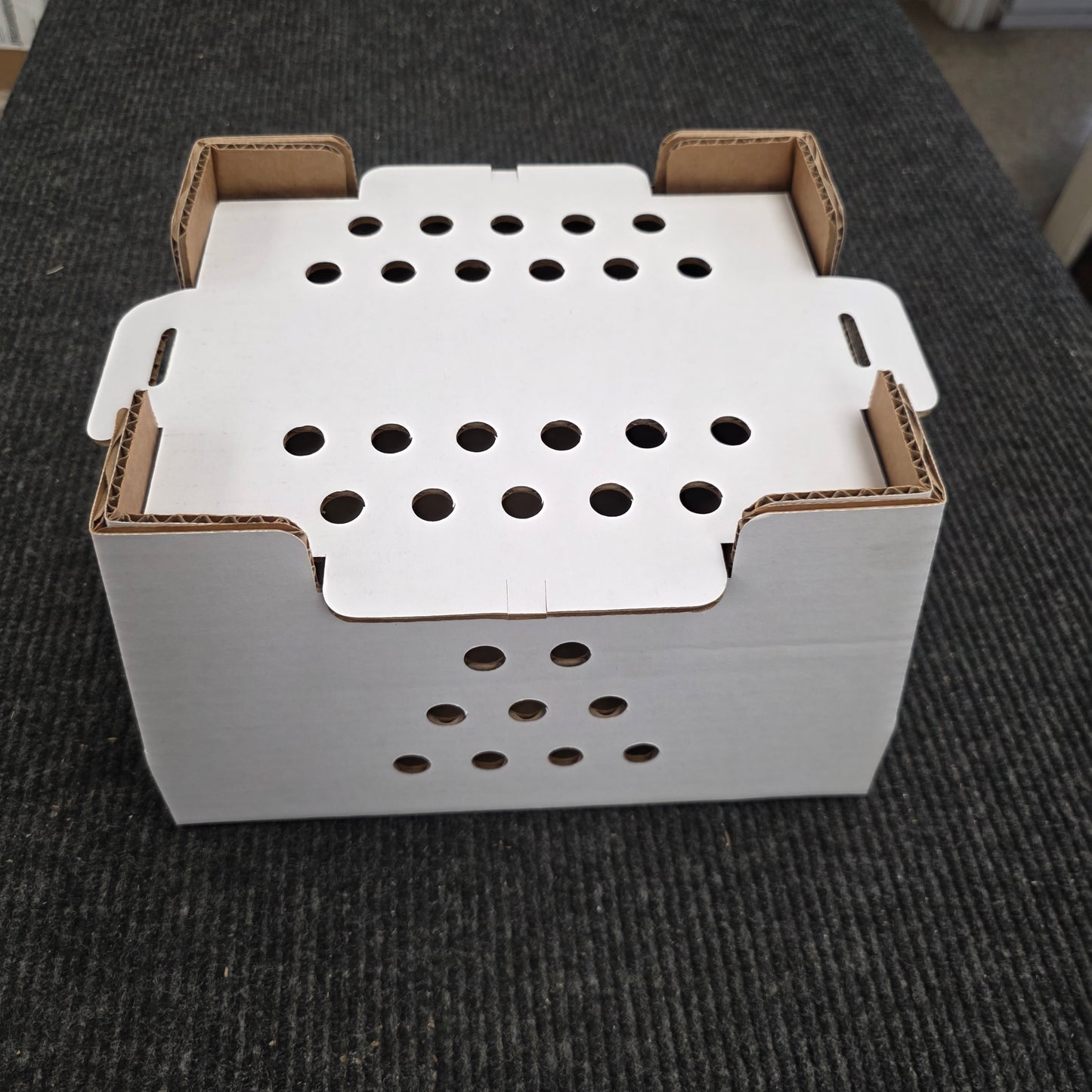 Chick Shipping Box | 25-Pack | 12" x 10" x 8"