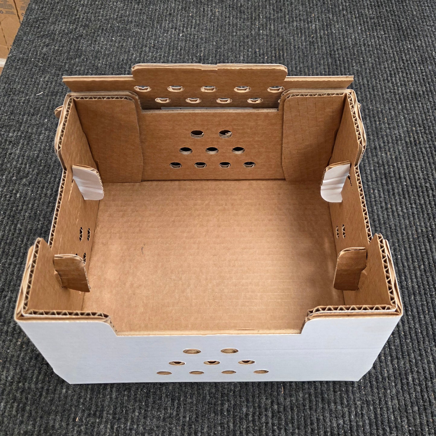 Chick Shipping Box | 25-Pack | 12" x 10" x 8"
