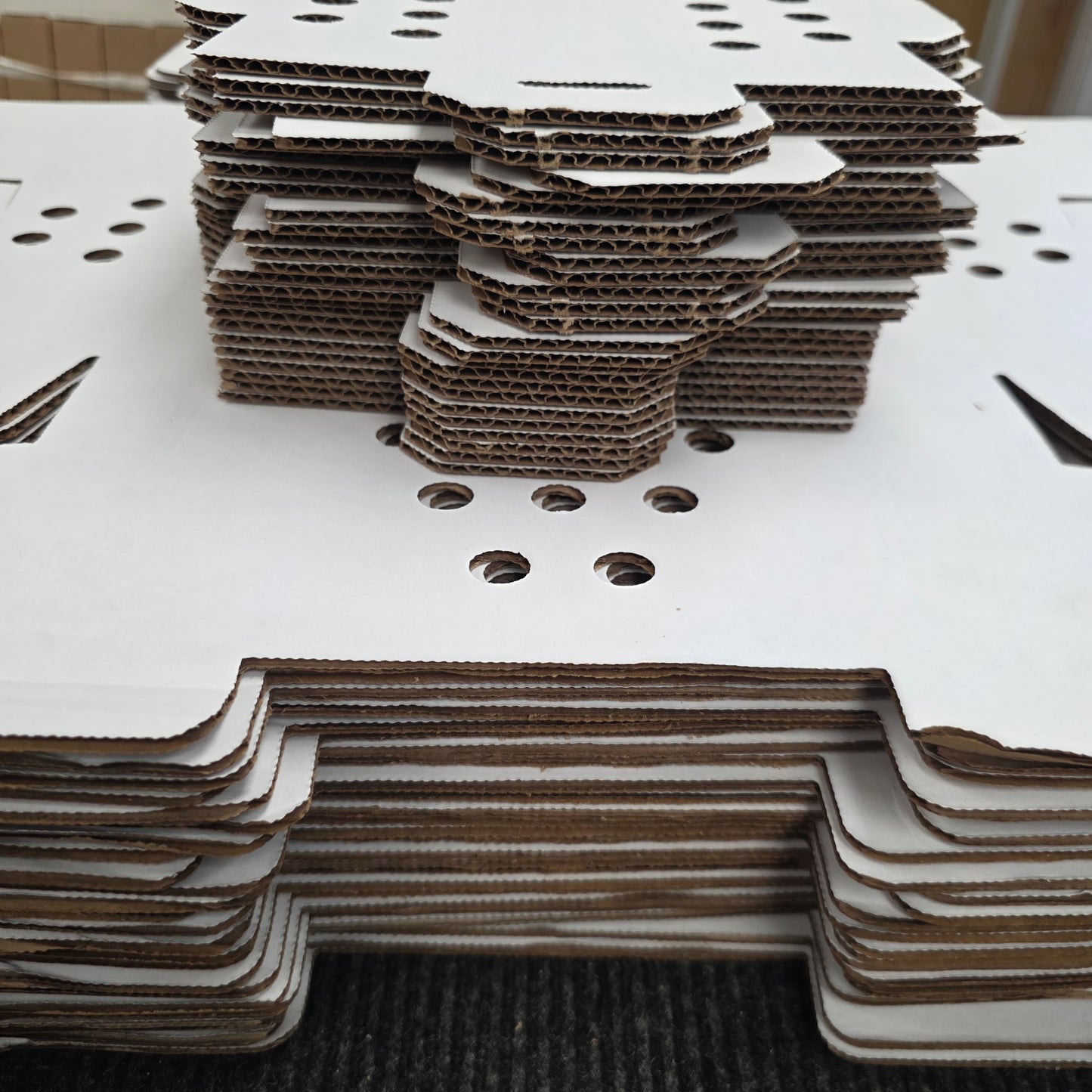 Chick Shipping Box | 25-Pack | 12" x 10" x 8"